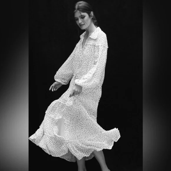 Anthropologie Long-Sleeve Smocked Tiered Maxi Dress - Picture 14 of 14